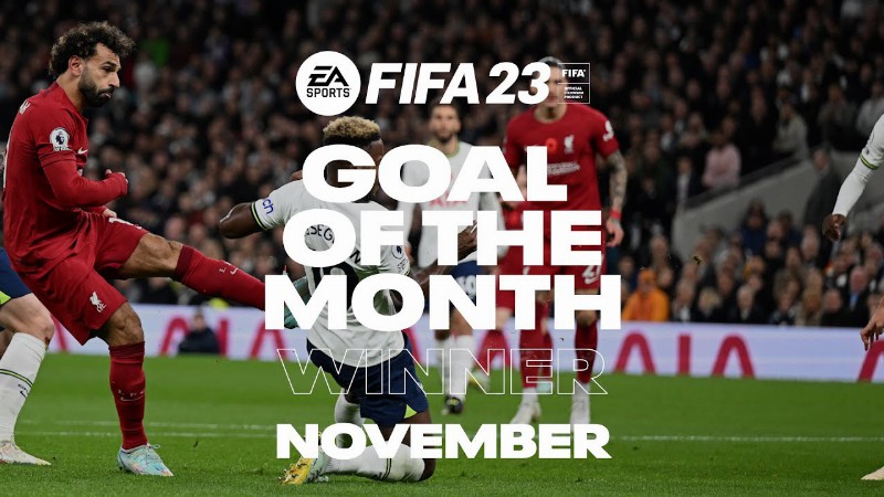 Liverpool Fc Goal Of The Month Result : November