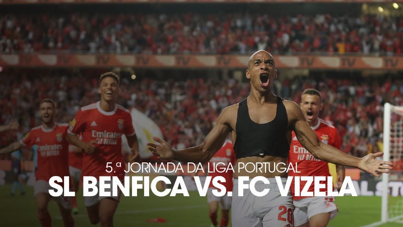 Resumo/highlights: Sl Benfica 2-1 Fc Vizela